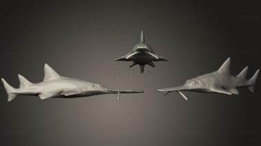 3D model Saw Shark (STL)